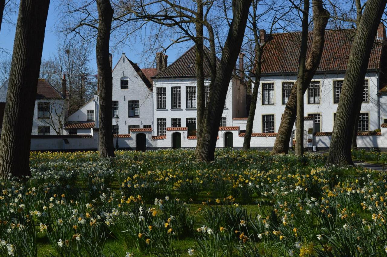 Villa Casa Camino à Bruges Extérieur photo